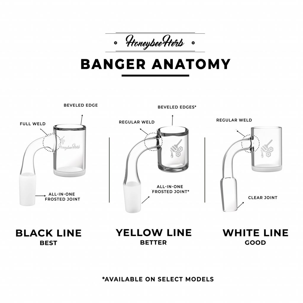 Honey Bee Banger Anatomy